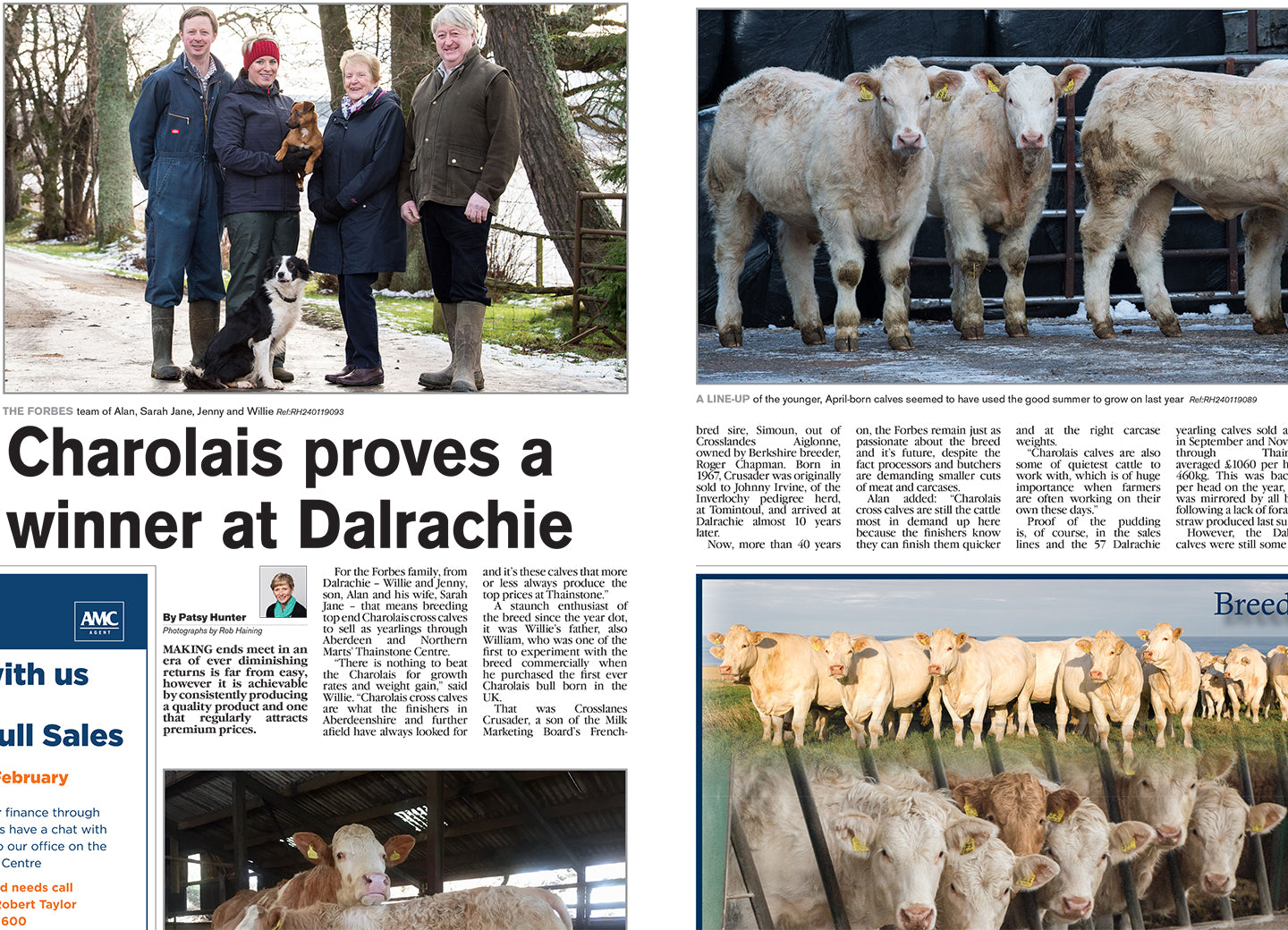 Charolais Proves a Winner at Dalrachie