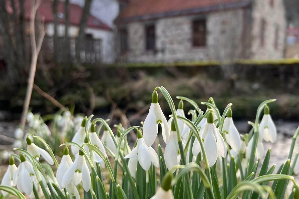 Spring has sprung!